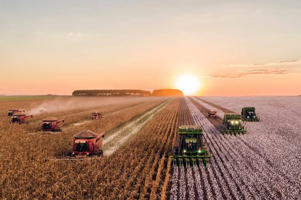 Agriculture financing services